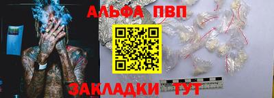 шишки Тара