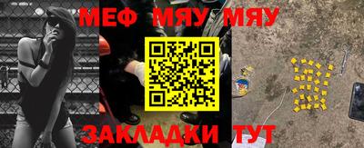 шишки Тара